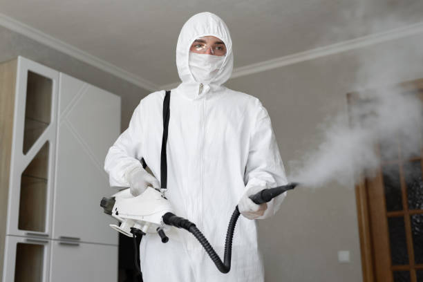 Best Residential Mold Inspection & Testing  in Moscow, ID